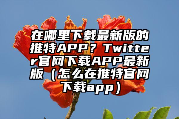 在哪里下载最新版的推特APP？Twitter官网下载APP最新版（怎么在推特官网下载app）