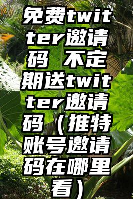 免费twitter邀请码 不定期送twitter邀请码（推特账号邀请码在哪里看）