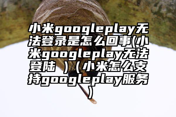 小米googleplay无法登录是怎么回事(小米googleplay无法登陆 )（小米怎么支持googleplay服务）