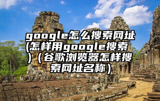 google怎么搜索网址(怎样用google搜索 )（谷歌浏览器怎样搜索网址名称）