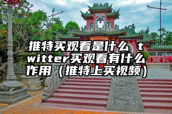 推特买观看是什么 twitter买观看有什么作用（推特上买视频）