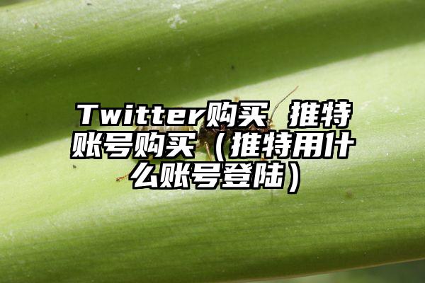 Twitter购买 推特账号购买（推特用什么账号登陆）