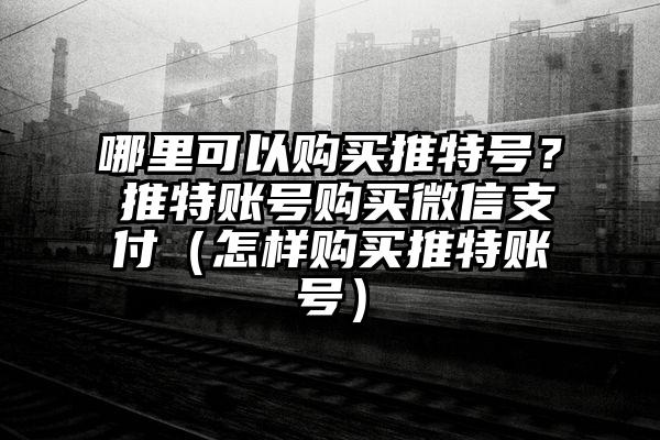 哪里可以购买推特号？　推特账号购买微信支付（怎样购买推特账号）