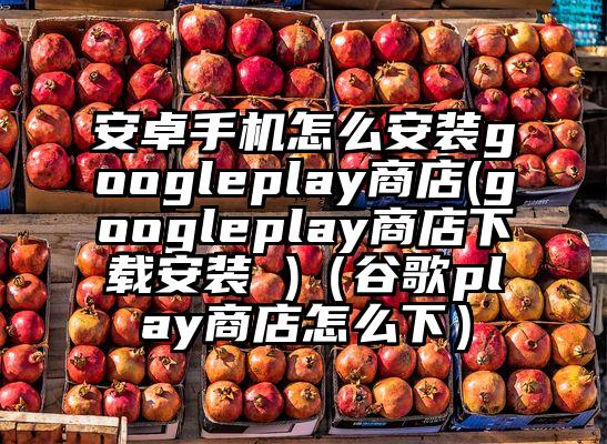 安卓手机怎么安装googleplay商店(googleplay商店下载安装 )（谷歌play商店怎么下）