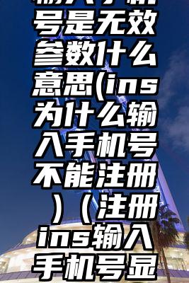 ins注册输入手机号是无效参数什么意思(ins为什么输入手机号不能注册 )（注册ins输入手机号显示无效参数）