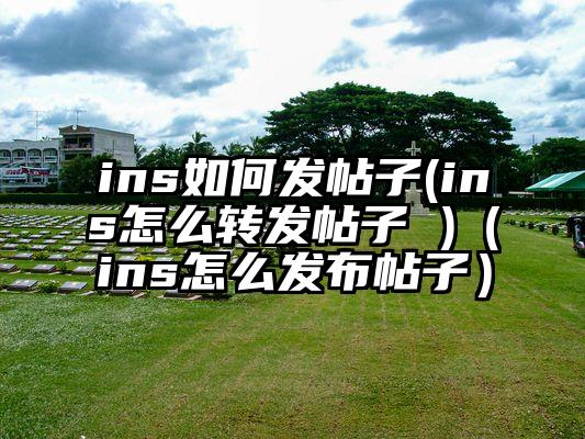 ins如何发帖子(ins怎么转发帖子 )（ins怎么发布帖子）