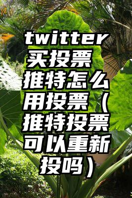 twitter买投票 推特怎么用投票（推特投票可以重新投吗）