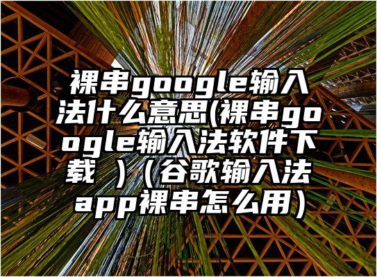 裸串google输入法什么意思(裸串google输入法软件下载 )（谷歌输入法app裸串怎么用）