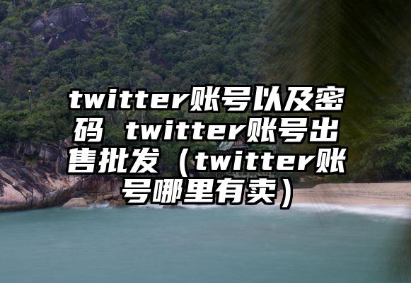 twitter账号以及密码 twitter账号出售批发（twitter账号哪里有卖）