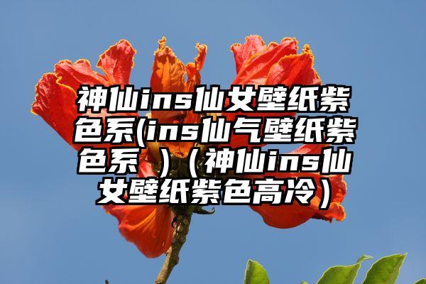 神仙ins仙女壁纸紫色系(ins仙气壁纸紫色系 )（神仙ins仙女壁纸紫色高冷）