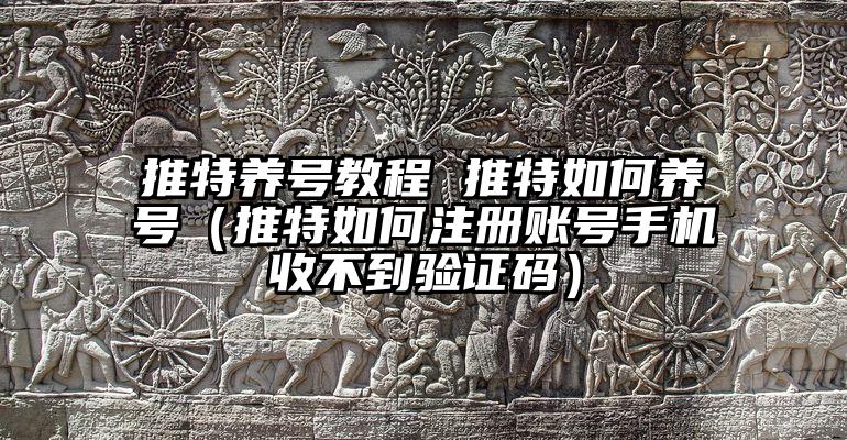 推特养号教程 推特如何养号（推特如何注册账号手机收不到验证码）