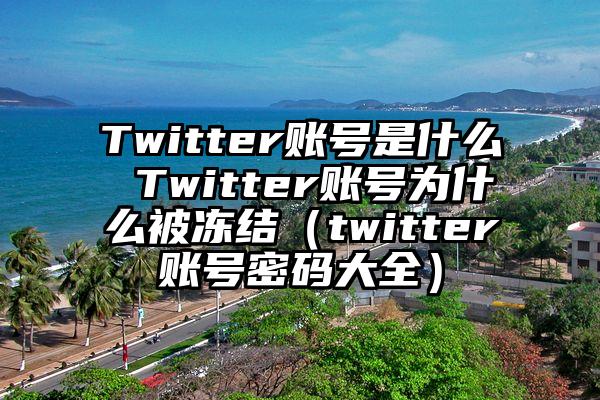 Twitter账号是什么 Twitter账号为什么被冻结（twitter账号密码大全）