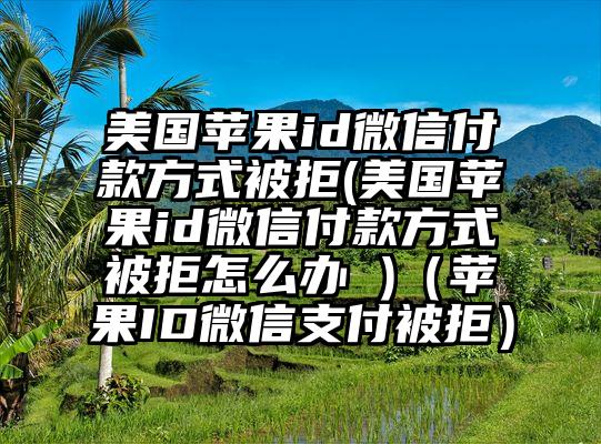 美国苹果id微信付款方式被拒(美国苹果id微信付款方式被拒怎么办 )（苹果ID微信支付被拒）