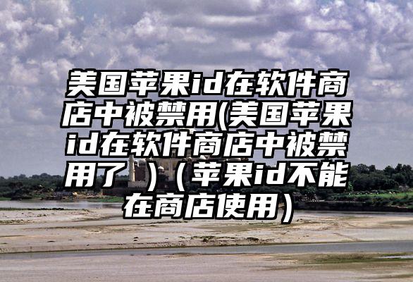 美国苹果id在软件商店中被禁用(美国苹果id在软件商店中被禁用了 )（苹果id不能在商店使用）