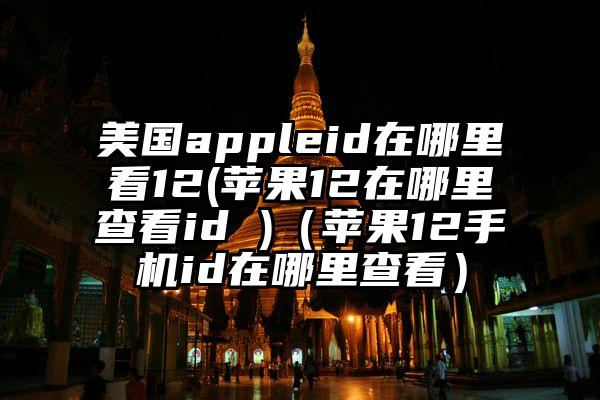 美国appleid在哪里看12(苹果12在哪里查看id )（苹果12手机id在哪里查看）