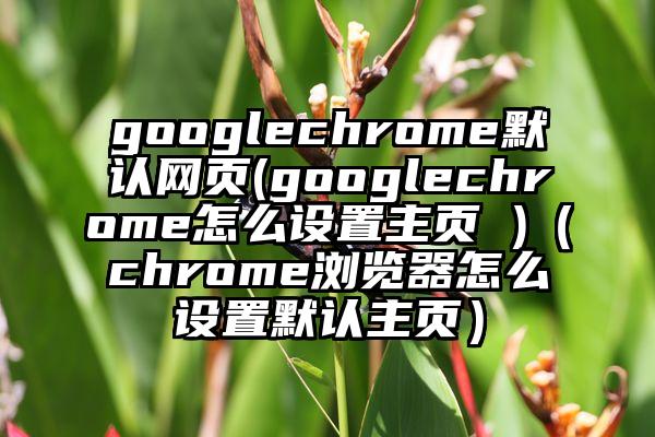 googlechrome默认网页(googlechrome怎么设置主页 )（chrome浏览器怎么设置默认主页）