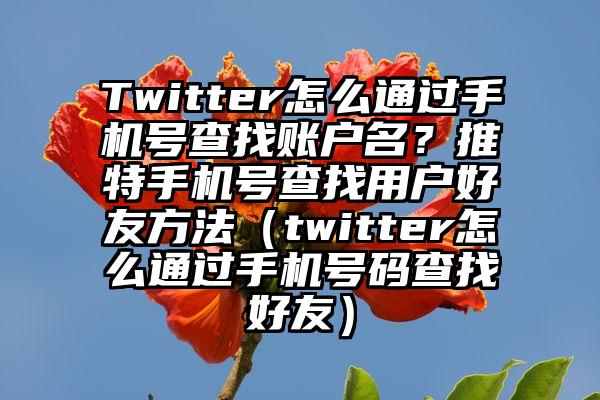 Twitter怎么通过手机号查找账户名？推特手机号查找用户好友方法（twitter怎么通过手机号码查找好友）