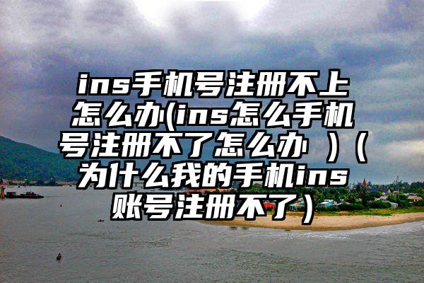 ins手机号注册不上怎么办(ins怎么手机号注册不了怎么办 )（为什么我的手机ins账号注册不了）