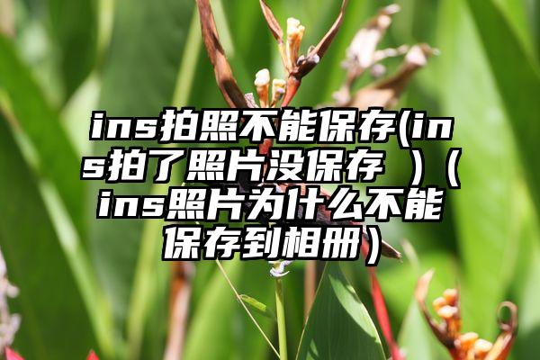 ins拍照不能保存(ins拍了照片没保存 )（ins照片为什么不能保存到相册）