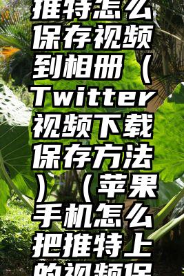 苹果手机推特怎么保存视频到相册（Twitter视频下载保存方法）（苹果手机怎么把推特上的视频保存下来）