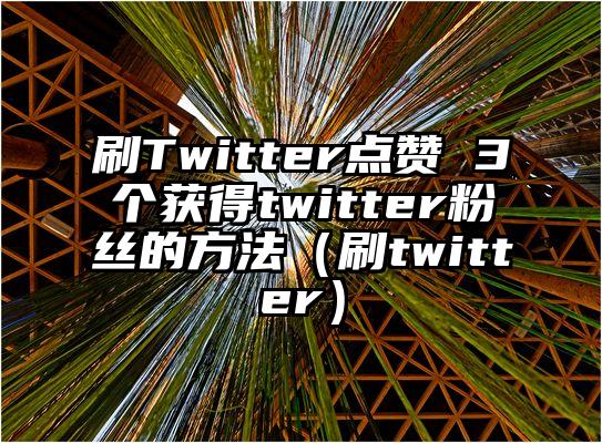 刷Twitter点赞 3个获得twitter粉丝的方法（刷twitter）