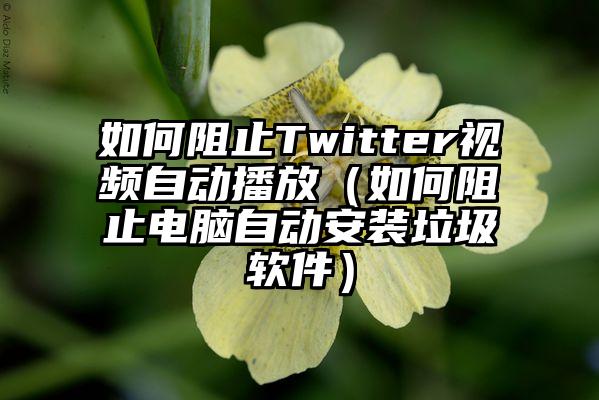 如何阻止Twitter视频自动播放（如何阻止电脑自动安装垃圾软件）