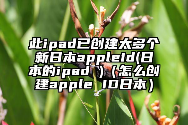 此ipad已创建太多个新日本appleid(日本的ipad )（怎么创建apple ID日本）