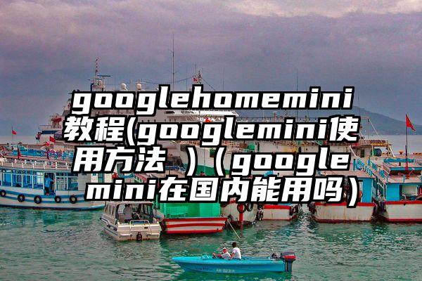 googlehomemini教程(googlemini使用方法 )（google mini在国内能用吗）