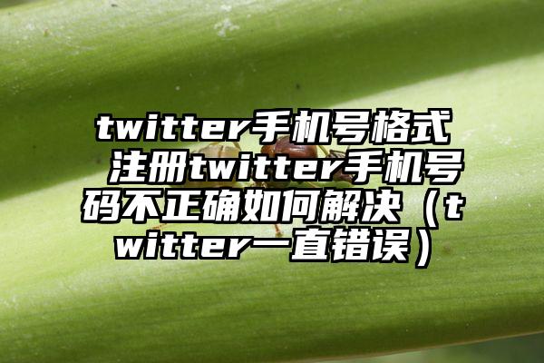 twitter手机号格式 注册twitter手机号码不正确如何解决（twitter一直错误）