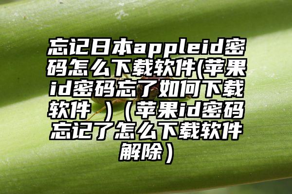 忘记日本appleid密码怎么下载软件(苹果id密码忘了如何下载软件 )（苹果id密码忘记了怎么下载软件解除）