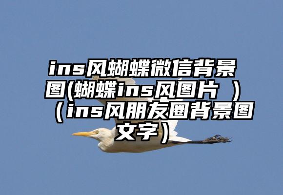 ins风蝴蝶微信背景图(蝴蝶ins风图片 )（ins风朋友圈背景图文字）