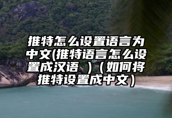 推特怎么设置语言为中文(推特语言怎么设置成汉语 )（如何将推特设置成中文）