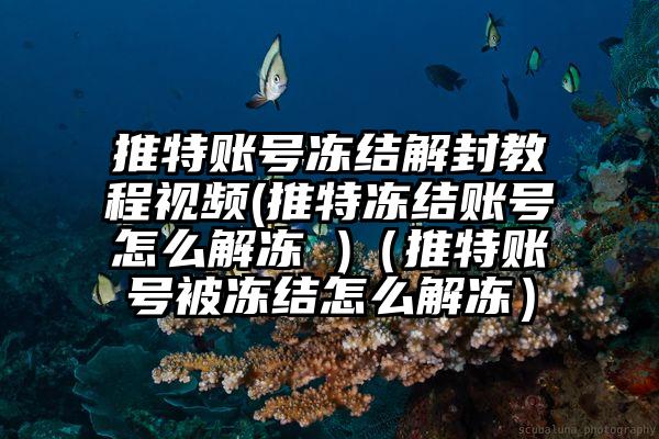 推特账号冻结解封教程视频(推特冻结账号怎么解冻 )（推特账号被冻结怎么解冻）