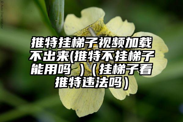 推特挂梯子视频加载不出来(推特不挂梯子能用吗 )（挂梯子看推特违法吗）