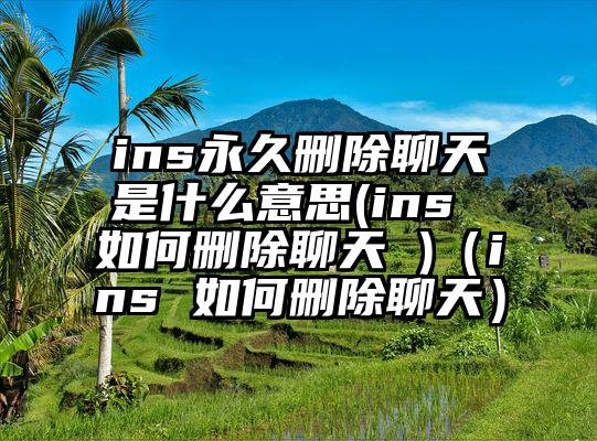 ins永久删除聊天是什么意思(ins 如何删除聊天 )（ins 如何删除聊天）