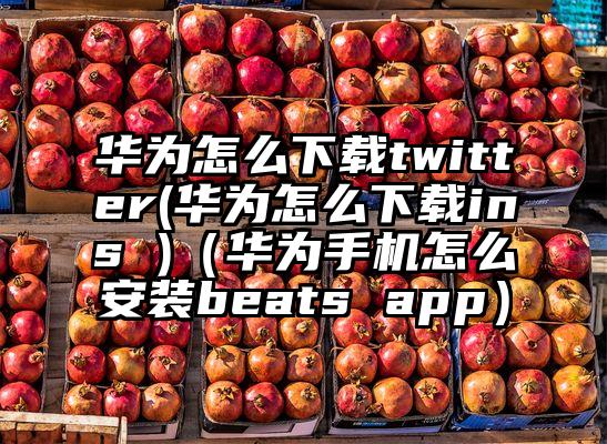 华为怎么下载twitter(华为怎么下载ins )（华为手机怎么安装beats app）