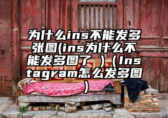 为什么ins不能发多张图(ins为什么不能发多图了 )（Instagram怎么发多图）