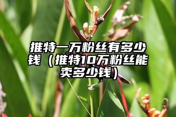 推特一万粉丝有多少钱（推特10万粉丝能卖多少钱）