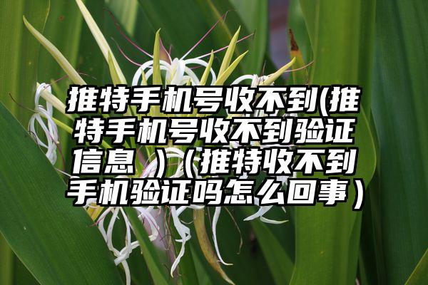 推特手机号收不到(推特手机号收不到验证信息 )（推特收不到手机验证吗怎么回事）