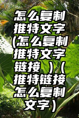 怎么复制推特文字(怎么复制推特文字链接 )（推特链接怎么复制文字）