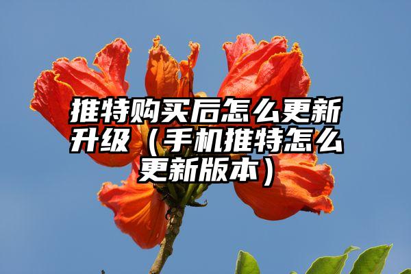 推特购买后怎么更新升级（手机推特怎么更新版本）