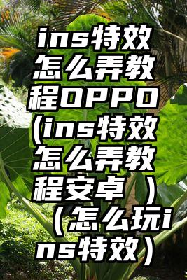 ins特效怎么弄教程OPPO(ins特效怎么弄教程安卓 )（怎么玩ins特效）