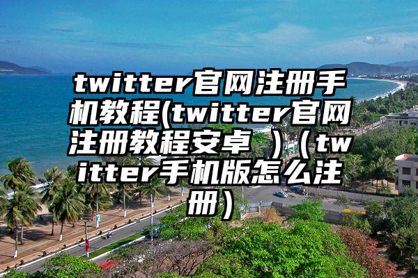 twitter官网注册手机教程(twitter官网注册教程安卓 )（twitter手机版怎么注册）