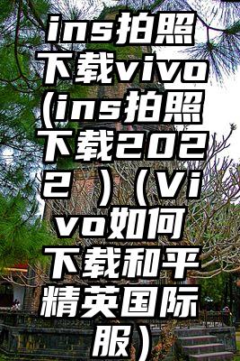 ins拍照下载vivo(ins拍照下载2022 )（Vivo如何下载和平精英国际服）