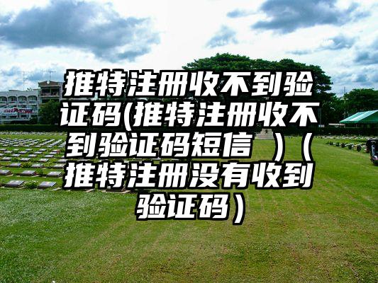 推特注册收不到验证码(推特注册收不到验证码短信 )（推特注册没有收到验证码）