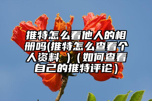 推特怎么看他人的相册吗(推特怎么查看个人资料 )（如何查看自己的推特评论）