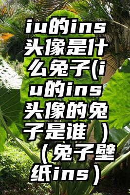 iu的ins头像是什么兔子(iu的ins头像的兔子是谁 )（兔子壁纸ins）