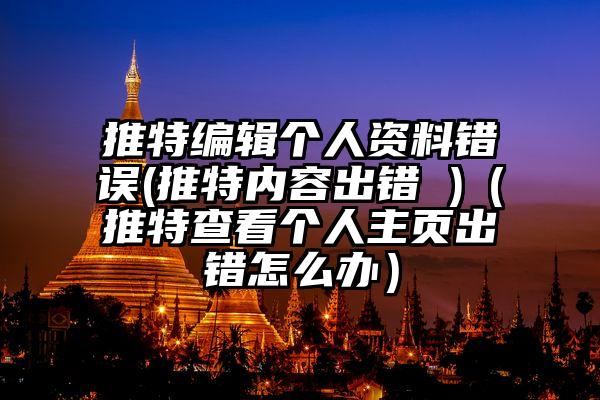 推特编辑个人资料错误(推特内容出错 )（推特查看个人主页出错怎么办）