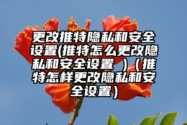 更改推特隐私和安全设置(推特怎么更改隐私和安全设置 )（推特怎样更改隐私和安全设置）