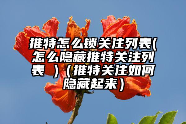 推特怎么锁关注列表(怎么隐藏推特关注列表 )（推特关注如何隐藏起来）